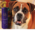 Colônia Hydra Groomers Forever Velvety Pet Society 450Ml - Bahia Delivery 