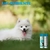 Limpa Xixi Peroxy Pet Espuma Seringal Sanithy Prime 350 Ml Pet Cachorros Gatos - loja online
