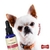 Floral De Bach Agressividade Pet Cachorros 30ml Perigot - comprar online