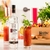 Vodka Holandesa Premium Ketel One 1L - Bahia Delivery 