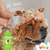 Shampoo Neutro Beeps Pet Society 500Ml