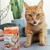 Petisco Desidratado Mini Snack Onebyone Nine Cat Tilápia E Sardinha Spin Pet 15Gr - Bahia Delivery 