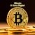 Bitcoin O Ouro Digital Ebook