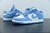 Nike Dunk Low Coast na internet