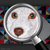Pintura de perros por Marisa Picazo en WALLPIX - Arte y Diseño