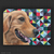 Pintura óleo de perros por Marisa Picazo en WALLPIX - Arte y Diseño