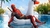 Deadpool 2 version extendida (2018) - comprar online