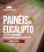 Banner de Masterpinus