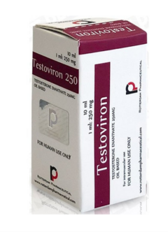 Testoviron Rotterdam 250 mg 10 ML