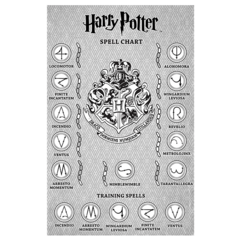 Varinha Mágica - Harry Potter - Jakks Pacific - 11 feitiços na internet