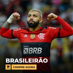 Banner da categoria Brasileirão 