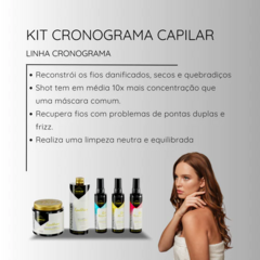 SENSE BRASIL CRONOGRAMA EQUILIBRIUM COMPLETO - comprar online