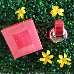 Bvlgari Omnia Coral en internet