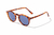 PEPE DEMI - MAEVO  EYEWEAR