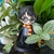 Harry Potter Anime Action Figure Boneco Colecionável PVC na internet