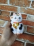 Maneki Neko Gato da Sorte Chama Dinheiro na internet