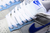 Dunk SP Low - Ivory Hyper Royal na internet