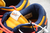 Dunk SP Low - Off-White University Gold Midnight Navy na internet