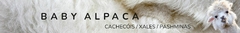 Banner da categoria Cachecóis / Xales e Pashminas