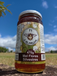 Imagem do Pote mel Silvestre 470g