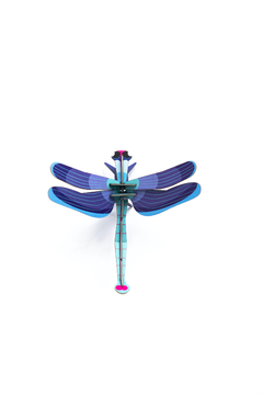 Saphire Dragonfly