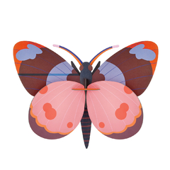 Bellisima Butterfly