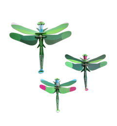 Green Dragonfly Set de 3