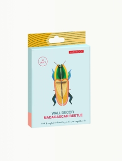 Madagascar Beetle en internet