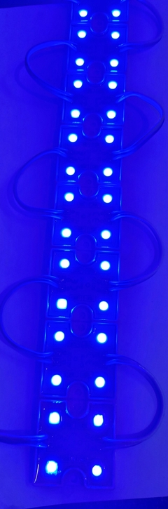 0600424 MODULO CUADRADO 4 LED COLOR AZUL en internet