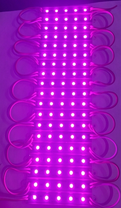 52792 MODULO 5 LEDS COLOR ROSA - comprar en línea