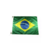 Bandeira do Brasil 22x33