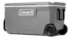 Conservadora 316 - Coleman - Gris - 100 QT - comprar online