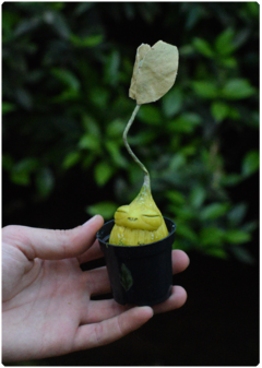 Botanical Sprout 04 | OOAK Art Doll Poseable Plant on internet