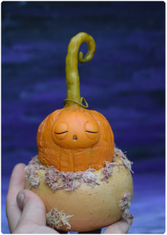 Broto de Abobrita 01 | Art doll miniatura edição Halloween - loja online