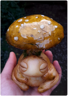 Mushroom Cuti Hatchling 19 | OOAK Magical Fungi Art Doll on internet