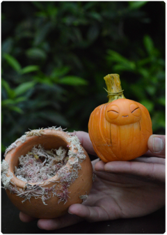 Lil Pumpkin Buds 03 | miniature Art Doll Halloween edition - TerraTundra - Artes Mágicas