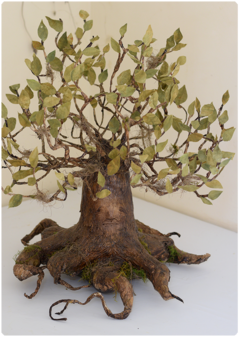 Sivaara, the Elder Tree | OOAK Ancient Dryad Art Doll