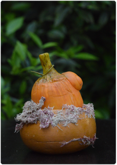 Lil Pumpkin Buds 02 | miniature Art Doll Halloween edition - online store