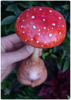 Art Doll KINO, Amanita Baby Mushroom Being - Magic Fungus OOAK Sculpture on internet