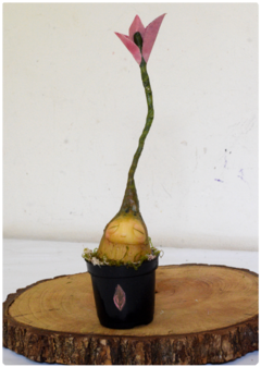 Botanical Sprout Sculpture 05 | Plant OOAK Art Doll