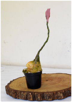 Escultura Broto Botânico 05 | Art Doll Planta - loja online