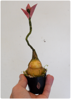 Botanical Sprout Sculpture 05 | Plant OOAK Art Doll - buy online