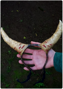 Forest Horns with tiny Mushrooms | OOAK art