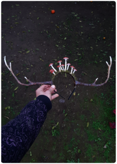 Mushroom Crown with Deer Horns - Visionary Amanita Muscaria Tiara on internet