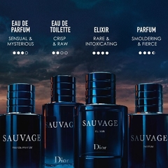 Sauvage Dior Eau de Parfum - Perfume Masculino 100ml - loja online