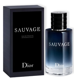 Sauvage Dior Eau de Toilette - Perfume Masculino 100ml - comprar online