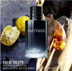 Sauvage Dior Eau de Toilette - Perfume Masculino 100ml - Monnaliza Pato Branco - Perfumes Importados 100% Originais