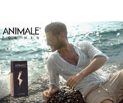 Animale For Men Eau de Toilette - Perfume Masculino 100ml - Monnaliza Pato Branco - Perfumes Importados 100% Originais