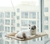 Transforme sua casa em um playground vertical com nossa Rede Suspensa para gatos, oferecendo diversão e descanso elevados para o seu felino curioso. - comprar online