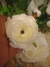 Cabeza de flor blanca. Valor por unidad - comprar online